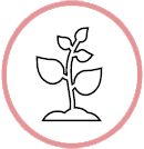 Seguridad Alimentaria